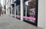 Window Graphics